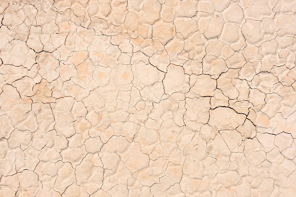 local dynamic micro massage